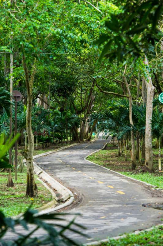 Parque de la Ronda del Sinu, Monteria, Cordoba, Co...