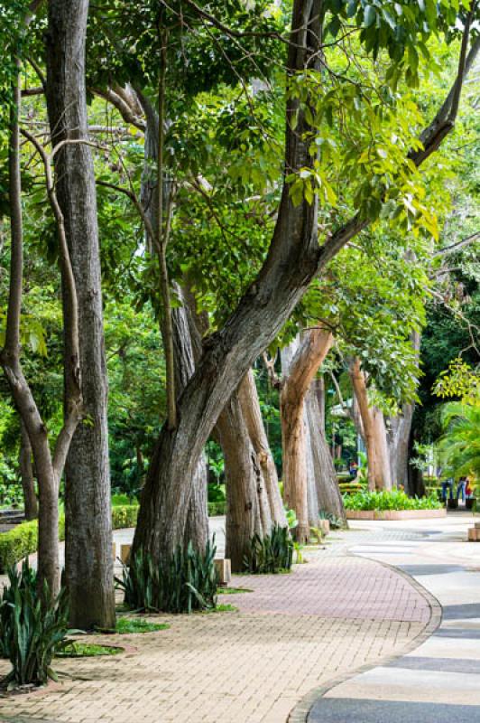 Parque de la Ronda del Sinu, Monteria, Cordoba, Co...