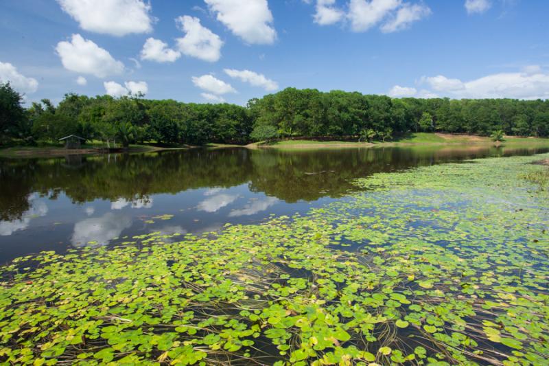 Parque Lago Montelibano, Alto de San Jorge, Cordob...