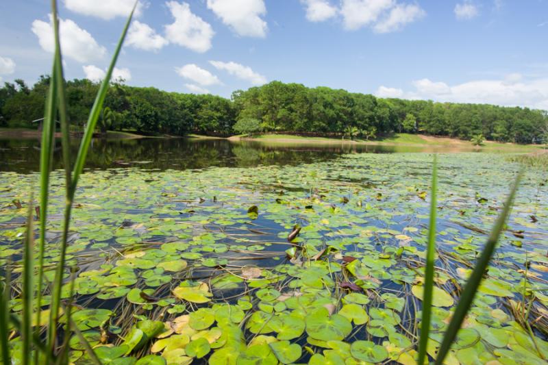 Parque Lago Montelibano, Alto de San Jorge, Cordob...