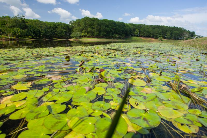 Parque Lago Montelibano, Alto de San Jorge, Cordob...