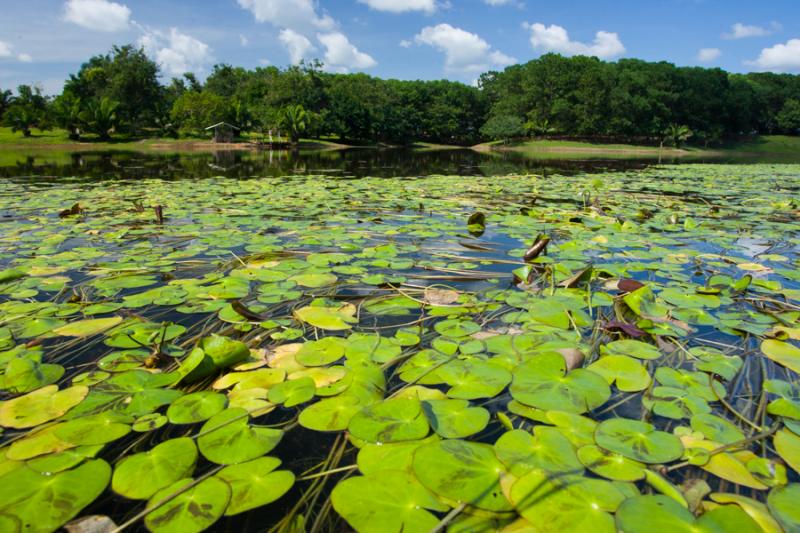 Parque Lago Montelibano, Alto de San Jorge, Cordob...