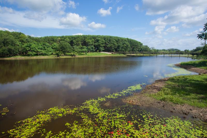 Parque Lago Montelibano, Alto de San Jorge, Cordob...