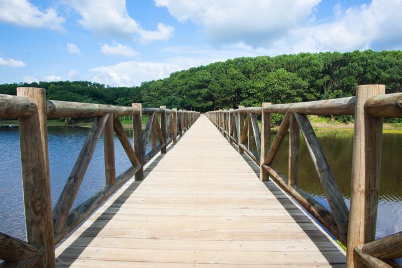 Parque Lago Montelibano, Alto de San Jorge, Cordob...