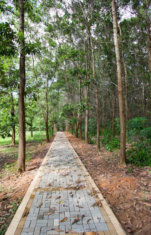 Parque Lago Montelibano, Alto de San Jorge, Cordob...