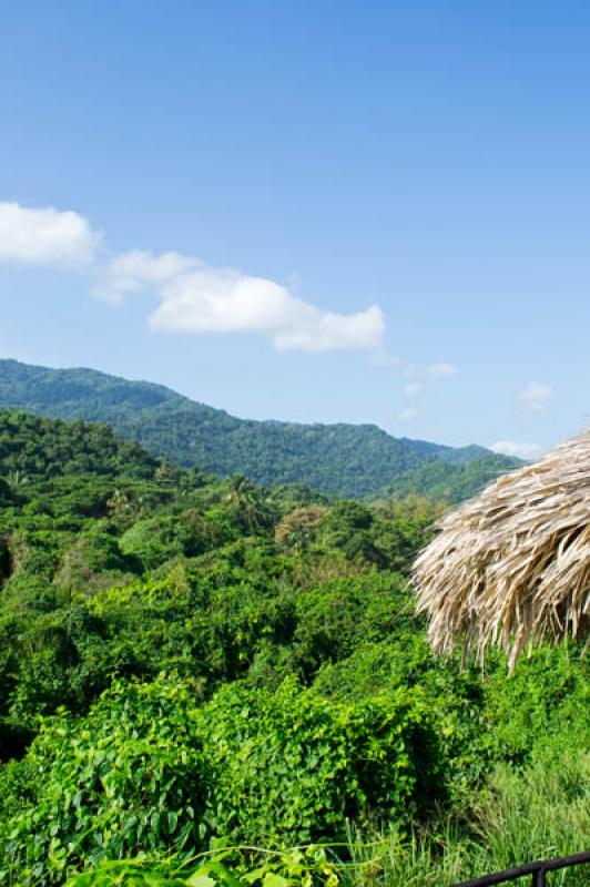 CaÃ±averal, Parque Nacional Natural Tayrona, San...