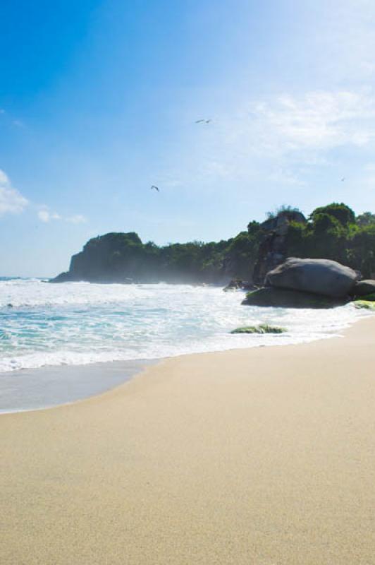 CaÃ±averal, Parque Nacional Natural Tayrona, San...