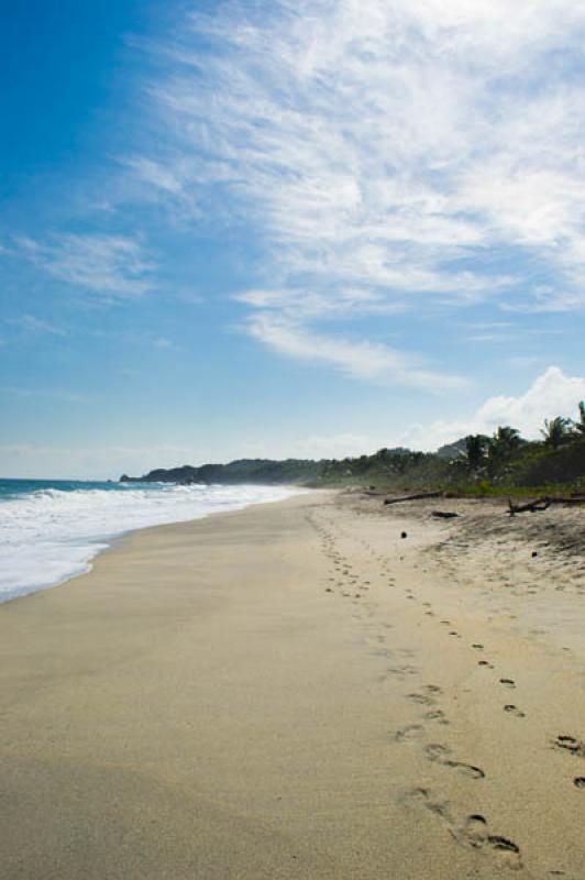 CaÃ±averal, Parque Nacional Natural Tayrona, San...