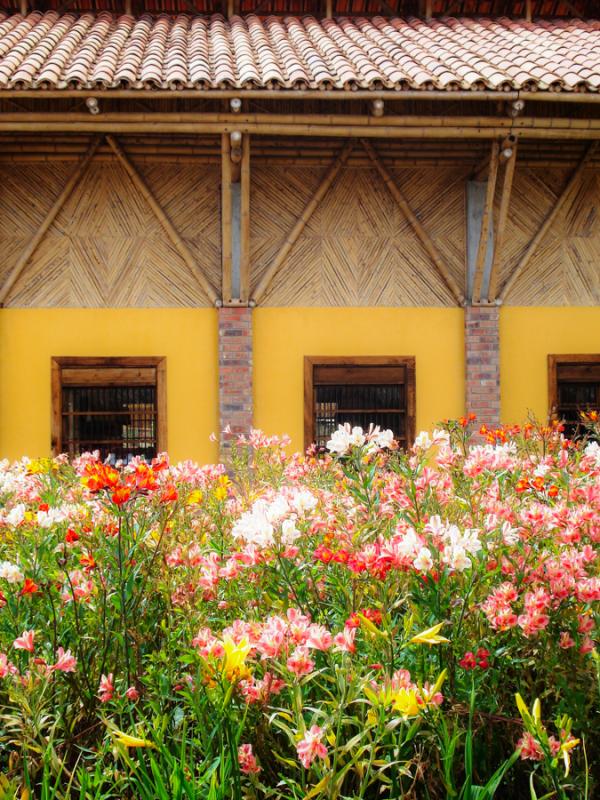 Panaca, Armenia, Quindio, Eje Cafetero, Colombia