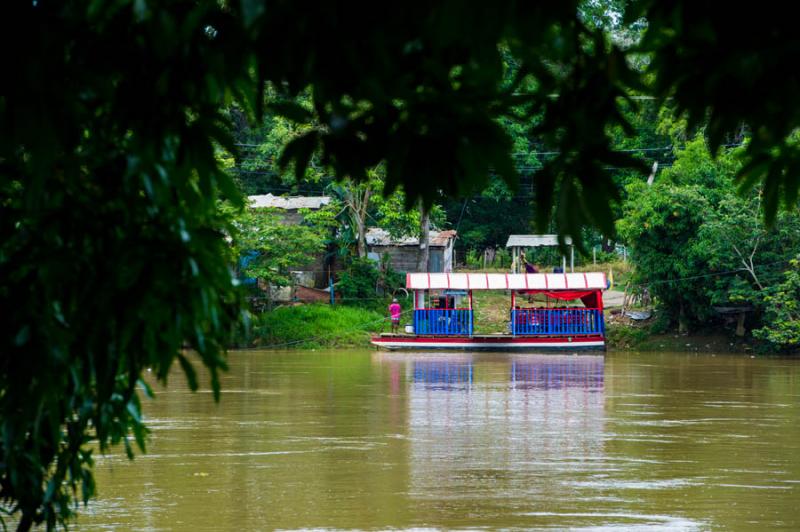 Planchon en el Rio Sinu, Monteria, Cordoba, Colomb...