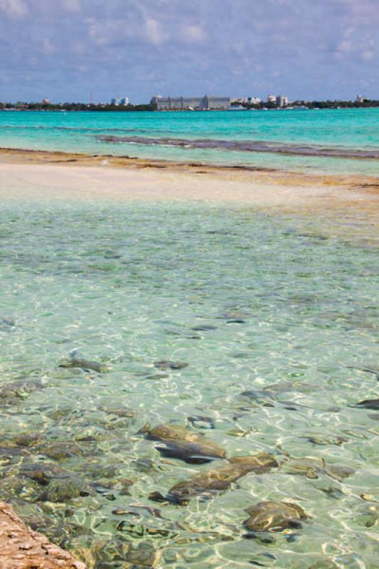 Hotel Decameron Aquarium, Isla de San Andres, Arch...