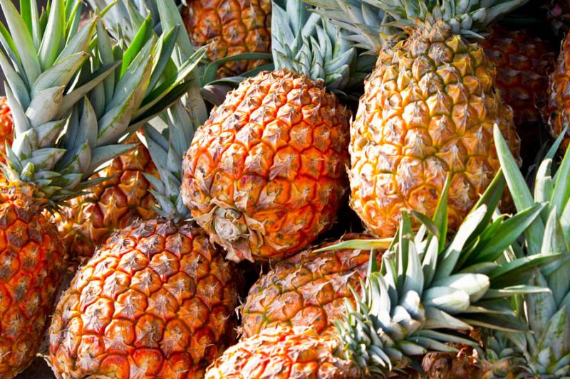 Ananas comosus