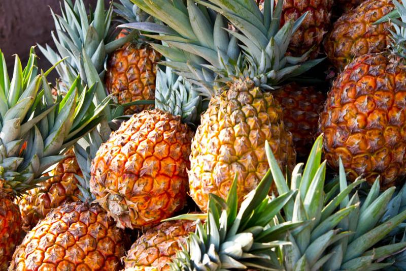 Ananas comosus