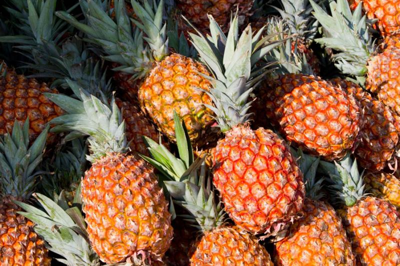 Ananas comosus