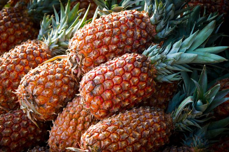 Ananas comosus