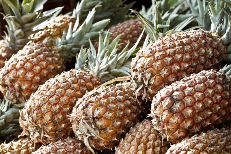 Ananas comosus