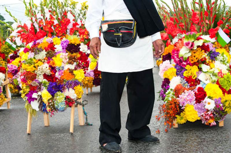 Desfile de Silleteros, Feria de las Flores, Medell...