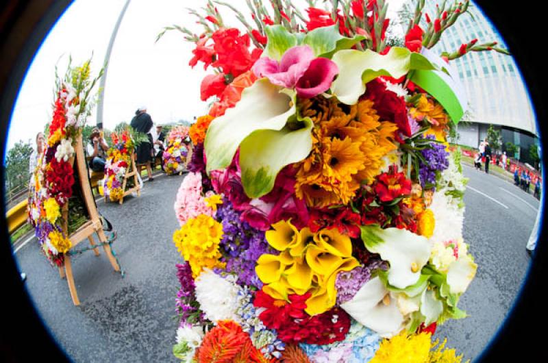 Desfile de Silleteros, Feria de las Flores, Medell...