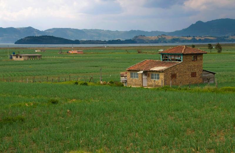 Cultivos en Tota, Boyaca, Tunja, Colombia