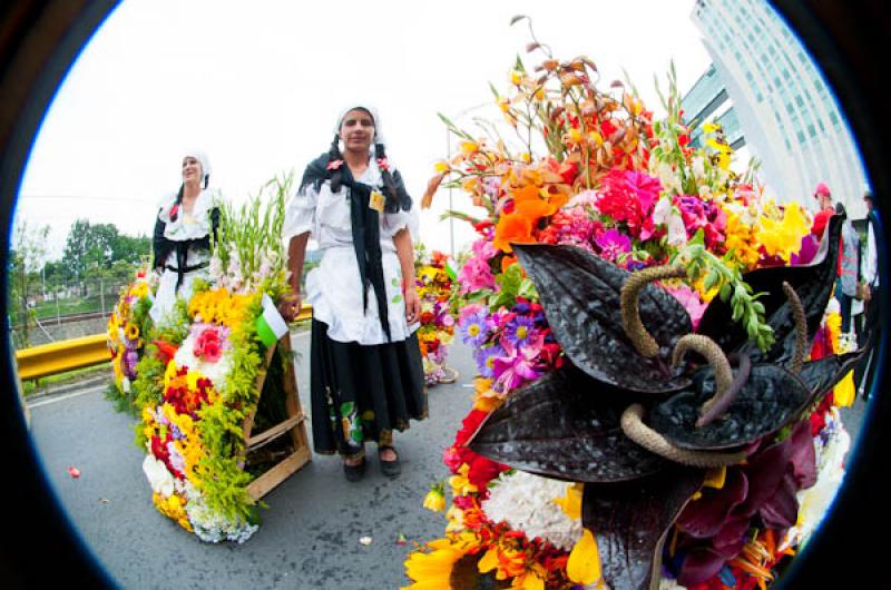 Desfile de Silleteros, Feria de las Flores, Medell...