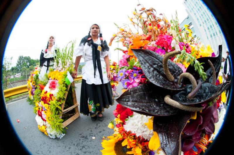 Desfile de Silleteros, Feria de las Flores, Medell...