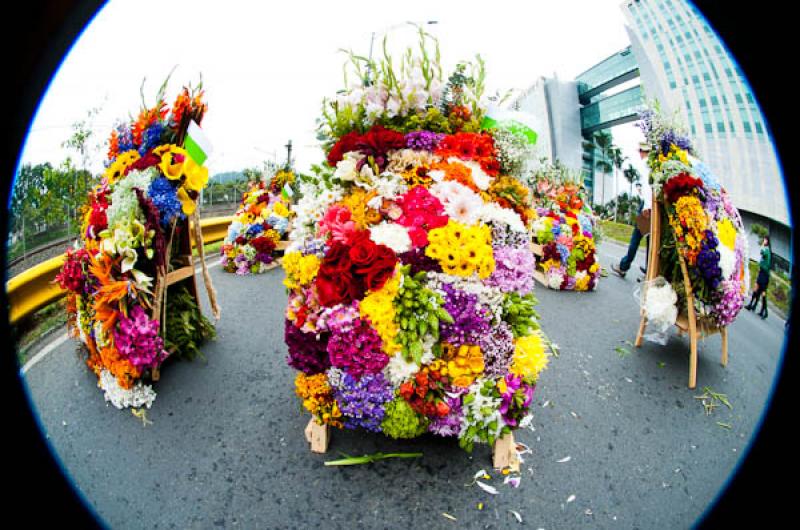 Desfile de Silleteros, Feria de las Flores, Medell...