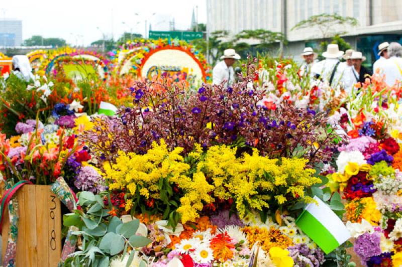 Desfile de Silleteros, Feria de las Flores, Medell...