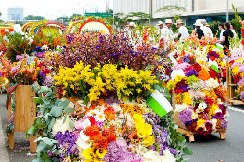 Desfile de Silleteros, Feria de las Flores, Medell...