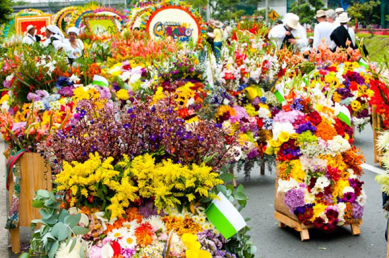 Desfile de Silleteros, Feria de las Flores, Medell...