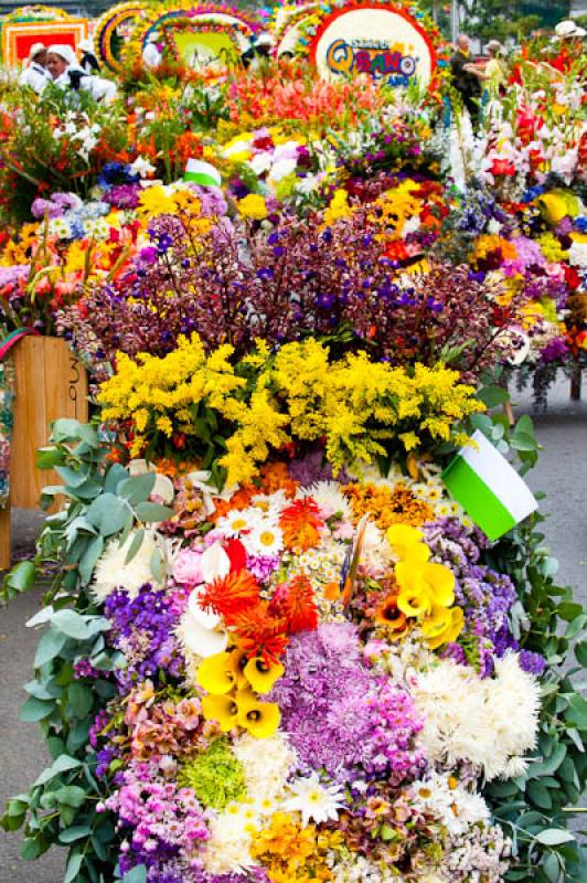 Desfile de Silleteros, Feria de las Flores, Medell...