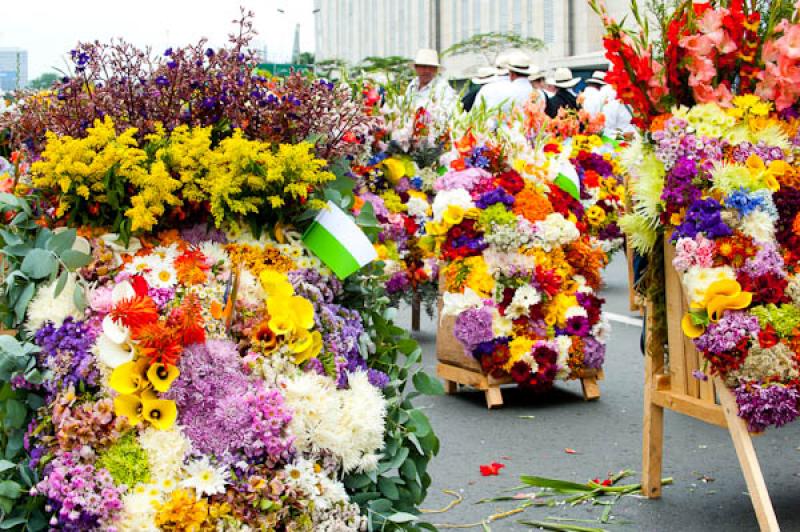 Desfile de Silleteros, Feria de las Flores, Medell...