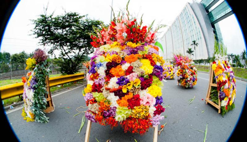 Desfile de Silleteros, Feria de las Flores, Medell...