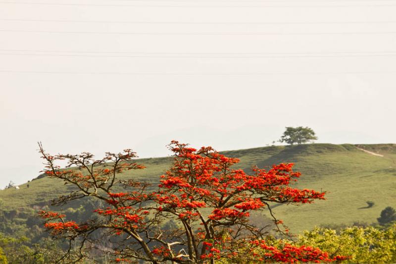 Paisaje de Lebrija, Santander, Bucaramanga, Colomb...