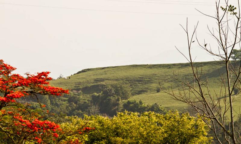 Paisaje de Lebrija, Santander, Bucaramanga, Colomb...