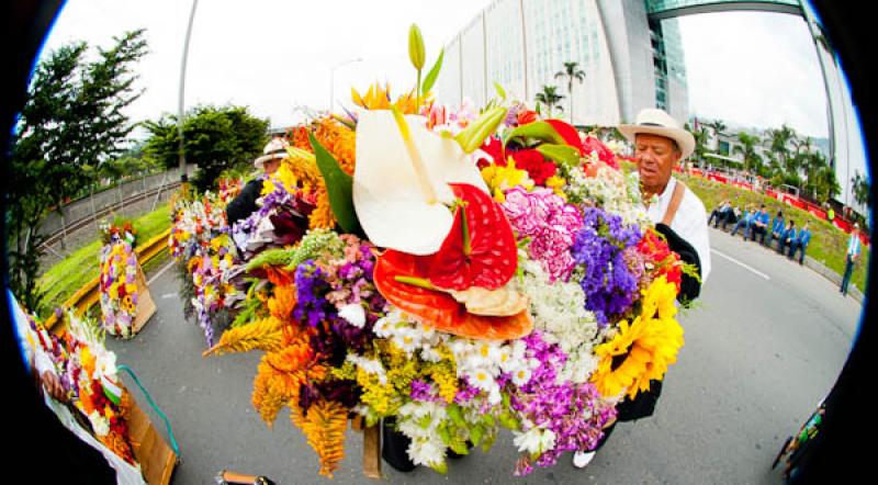 Desfile de Silleteros, Feria de las Flores, Medell...