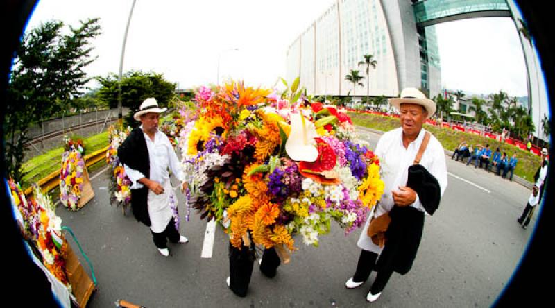 Desfile de Silleteros, Feria de las Flores, Medell...