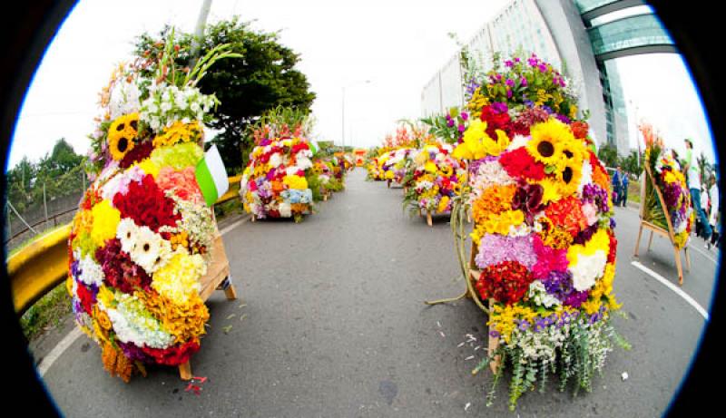 Desfile de Silleteros, Feria de las Flores, Medell...