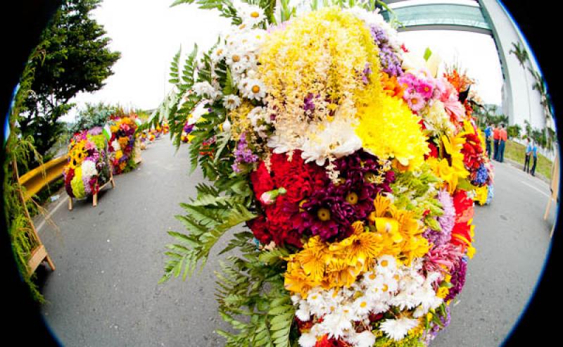 Desfile de Silleteros, Feria de las Flores, Medell...