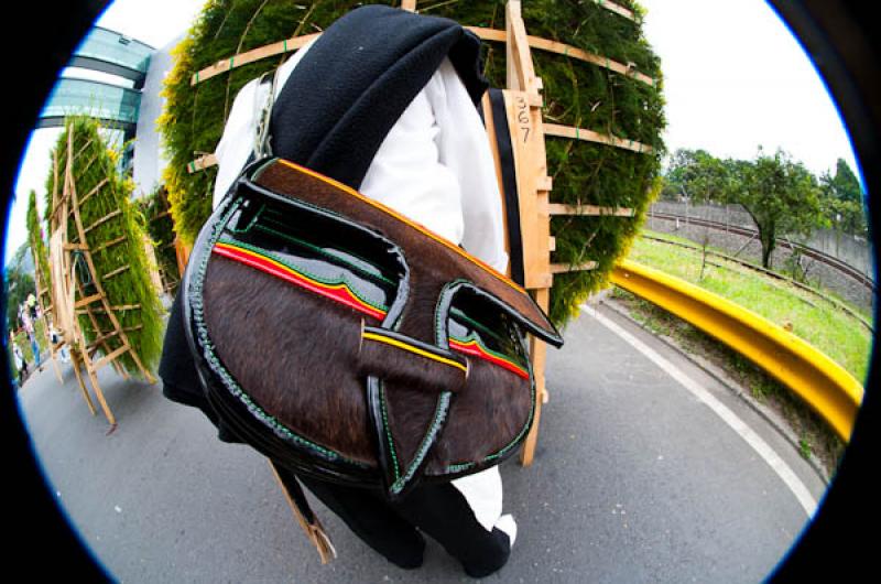 Desfile de Silleteros, Feria de las Flores, Medell...