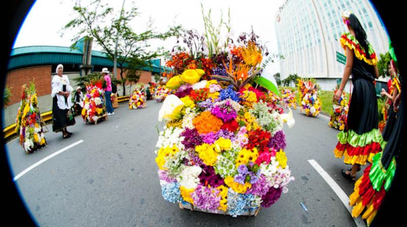 Desfile de Silleteros, Feria de las Flores, Medell...