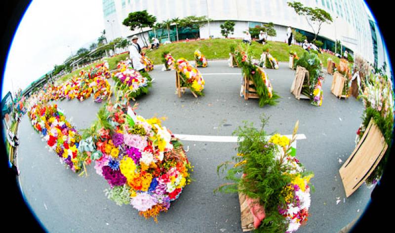 Desfile de Silleteros, Feria de las Flores, Medell...