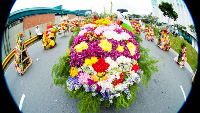 Desfile de Silleteros, Feria de las Flores, Medell...