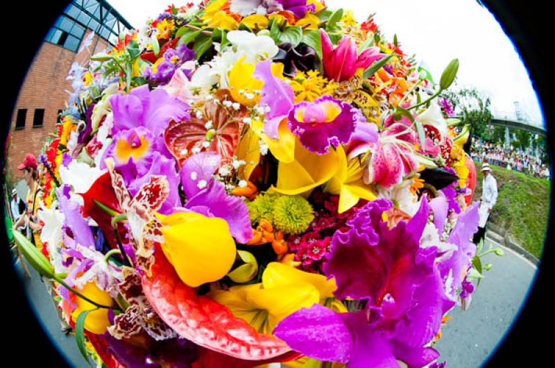 Desfile de Silleteros, Feria de las Flores, Medell...