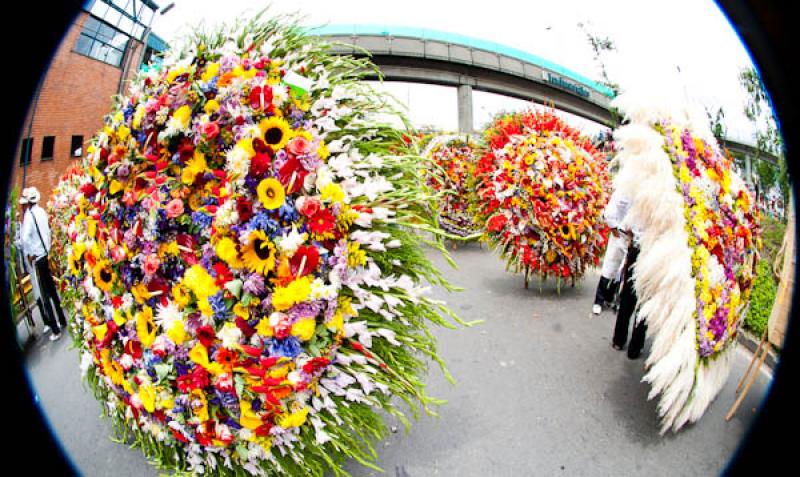 Desfile de Silleteros, Feria de las Flores, Medell...