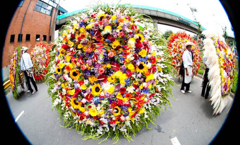 Desfile de Silleteros, Feria de las Flores, Medell...