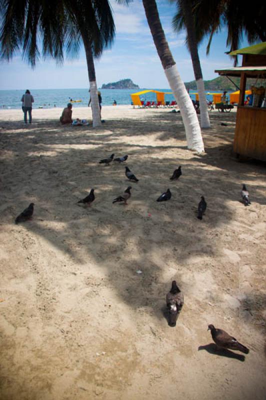 El Rodadero, Santa Marta, Magdalena, Colombia