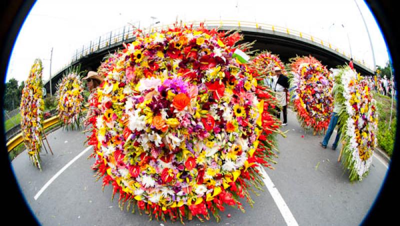 Desfile de Silleteros, Feria de las Flores, Medell...