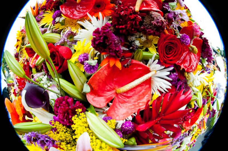 Desfile de Silleteros, Feria de las Flores, Medell...