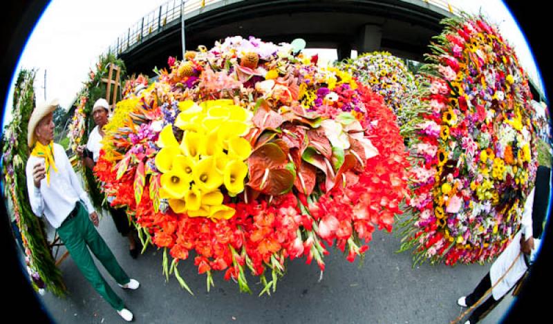 Desfile de Silleteros, Feria de las Flores, Medell...