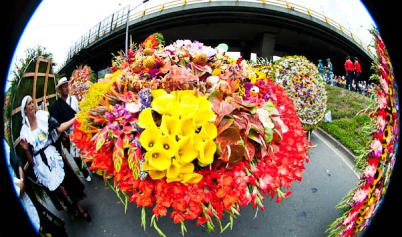 Desfile de Silleteros, Feria de las Flores, Medell...